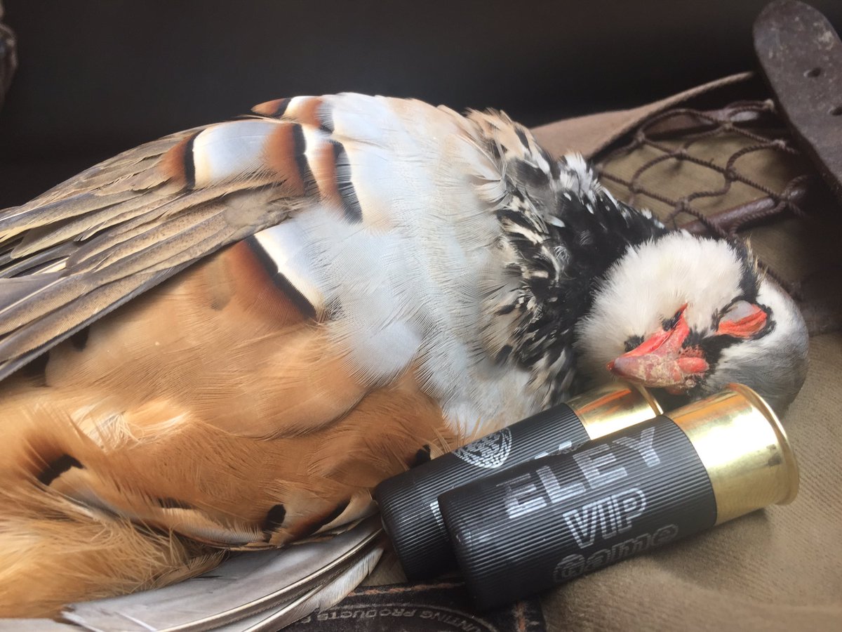 DuncanTweedsThomas tweet media