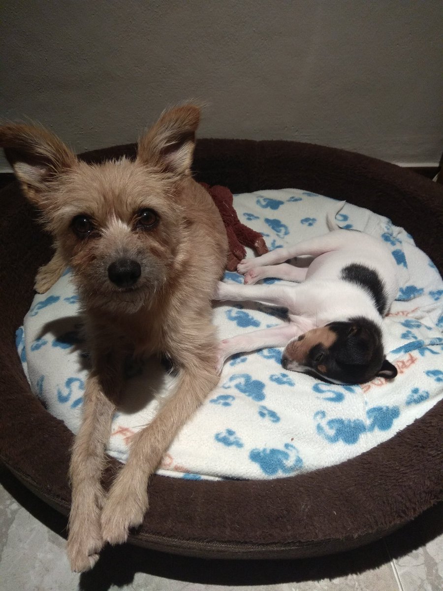 Zugu (@zugustardust) on Twitter photo 