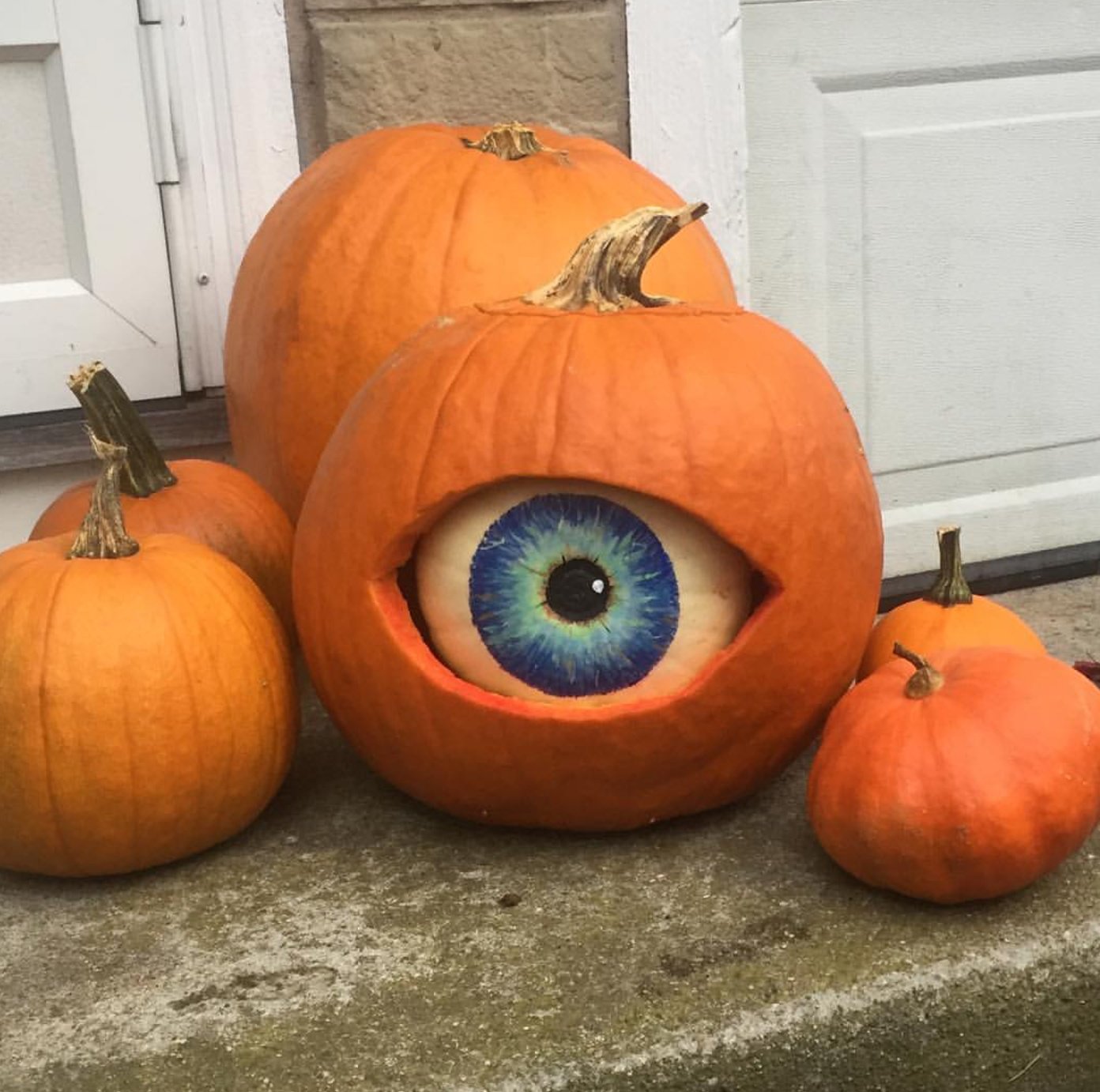 flood on Twitter: "my friend put a white pumpkin inside an orange