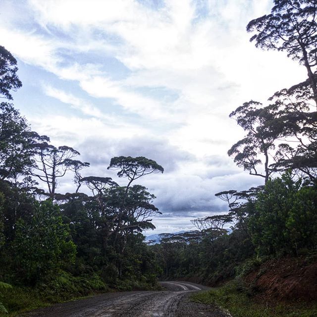dinapigueminers's tweet photo. Another rainy day! We're hoping the weather condition gets better in the succeeding days.
.
Ditoy Dinapigue, sabali kami!
.
#rainyday
#rain
#gloomy
#weather
#cloudy
#forest
#nature
#environment
#dinapiguemining
#DMC
#dinapigue
#isabela
#philippines
#Dito… https://t.co/D9fwxM10dR https://t.co/asT3gC3Ws3