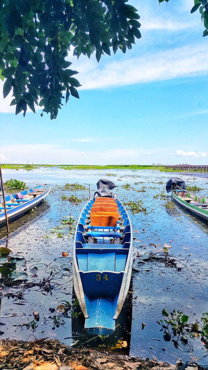 ทะเลน้อย พัทลุง