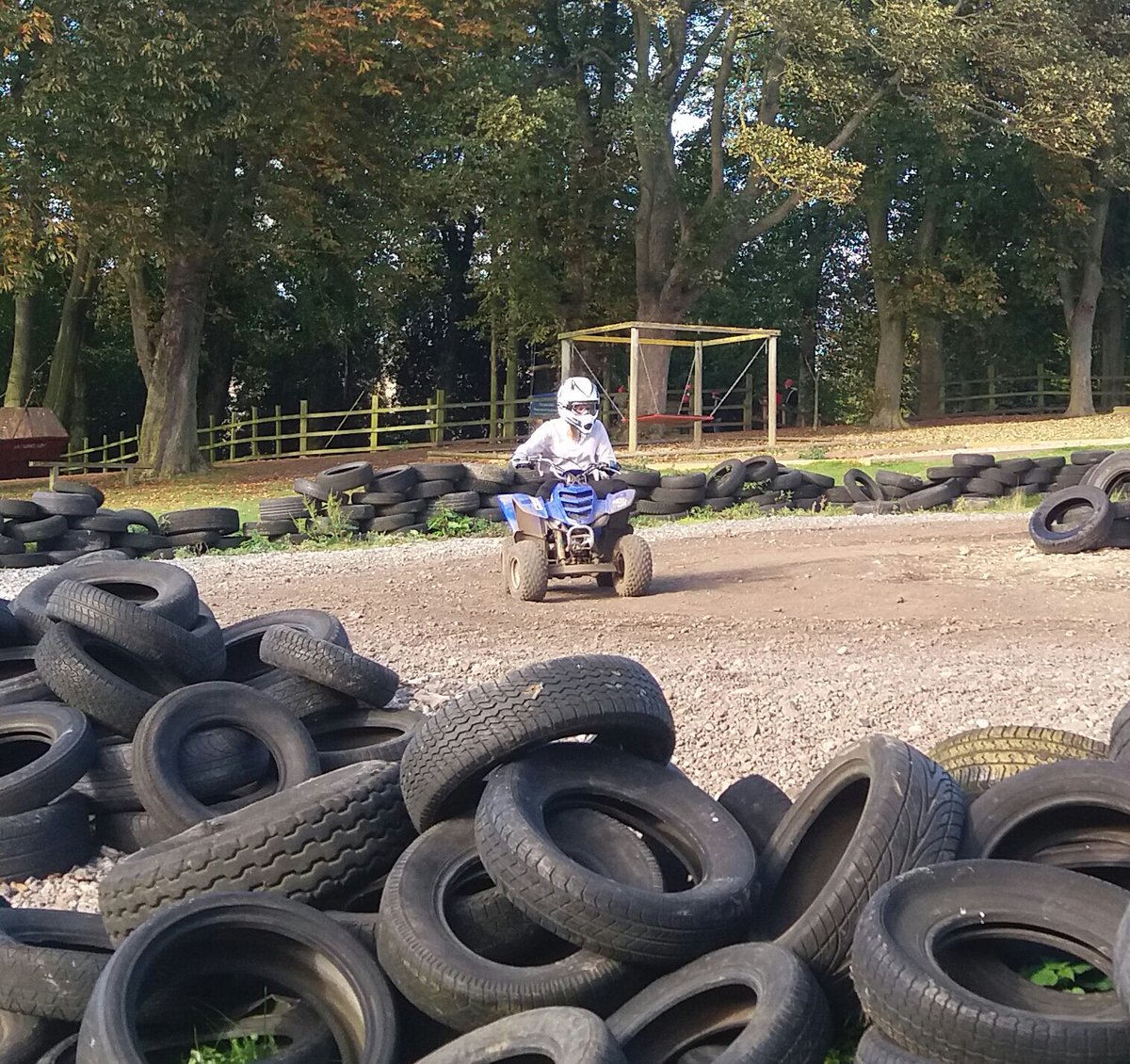 sirius_north's tweet photo. #SANY11 enjoying their adventures in Caythorpe #SANenrichment https://t.co/ZroOPumzT9