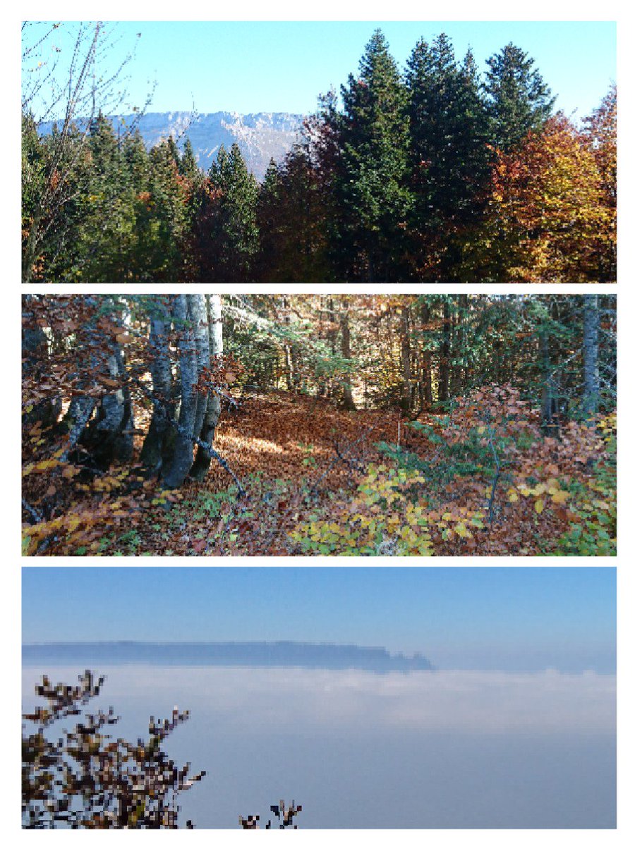 DanielGisquet's tweet photo. Journée d'automne exceptionnelle #Savoie #HauteSavoie mer de nuages sur #aixlesbains mais nous sommes au dessus à la #feclaz #MagnifiqueFrance #dentduchat https://t.co/5M5GXO18d9