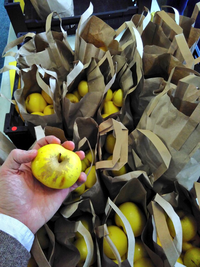 HelpBritBloss's tweet image. Another seasonally inappropriate Wassail under our belts for the folks at the Parrs Wood Environment Centre, Didsbury ***APPLE DAY***. Roll on tomorrow for juicing @UnicornGrocery