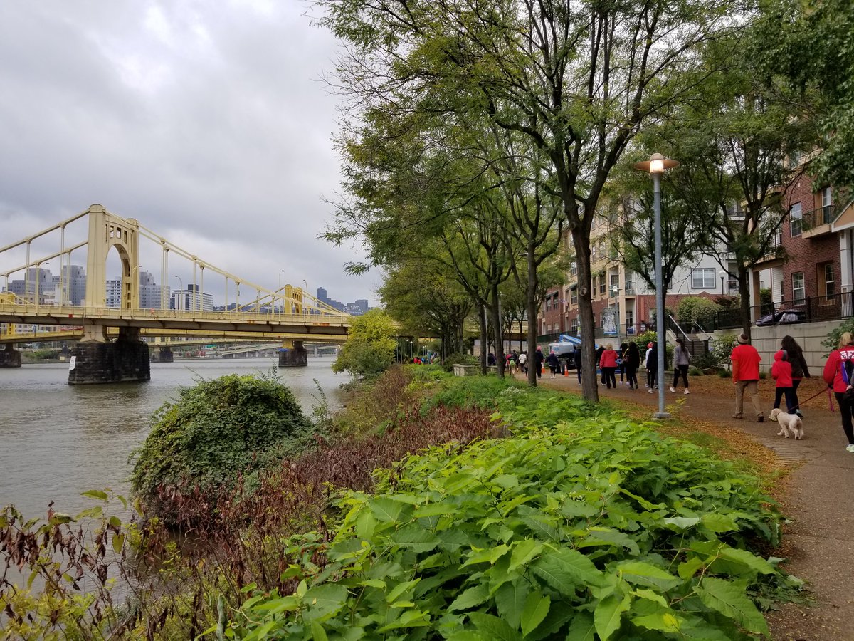johnskabardonis's tweet photo. the rain stayed away and the #temperature was perfect for a spirited #walk - so proud of all my @covestro #colleagues who joined me on the #Pittsburgh #heart #walk today #pghwalk #pghheartwalk #heartwalk #heartwalking https://t.co/PfHnVJGpxJ