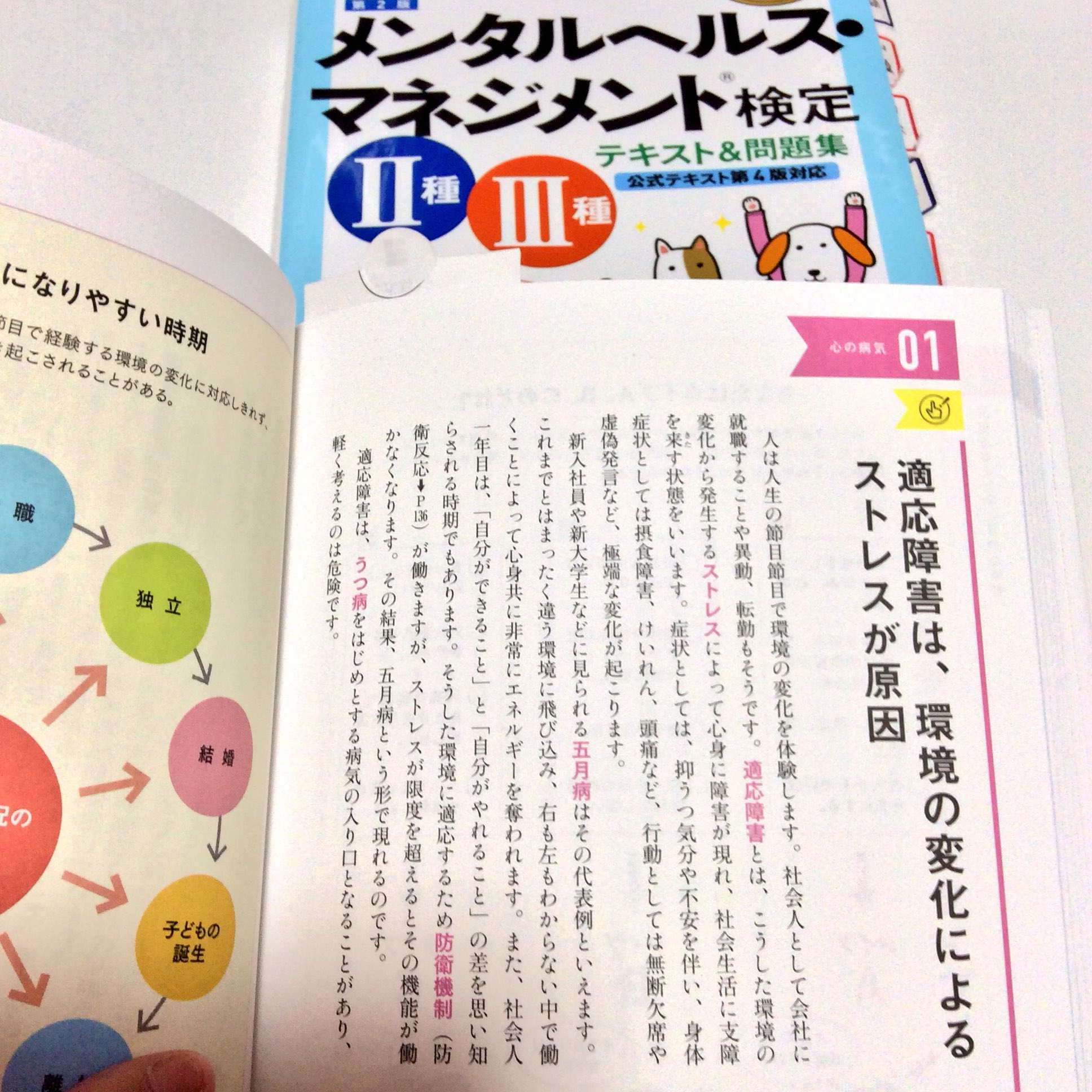 Ohisamanotikara Minori Na Twitteru 試験勉強 心理学の本ながら メンタルヘルス マネジメント検定に登場するストレス性の病気と特徴がわかりやすく説明されている本 面白いほどよくわかる 心理学 渋谷昌三オールカラー2頁1000円 税 読み