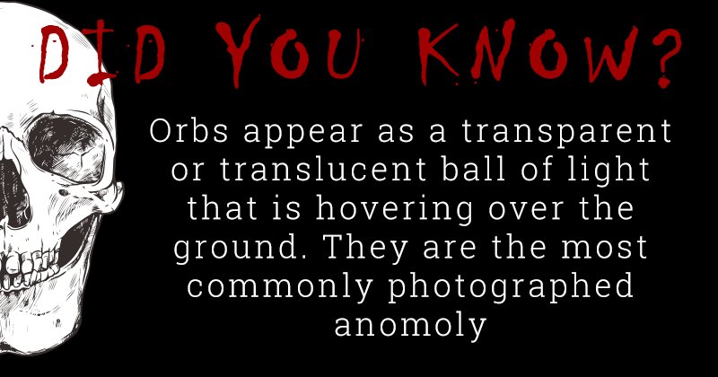 AmericanLegacyTours tweet media