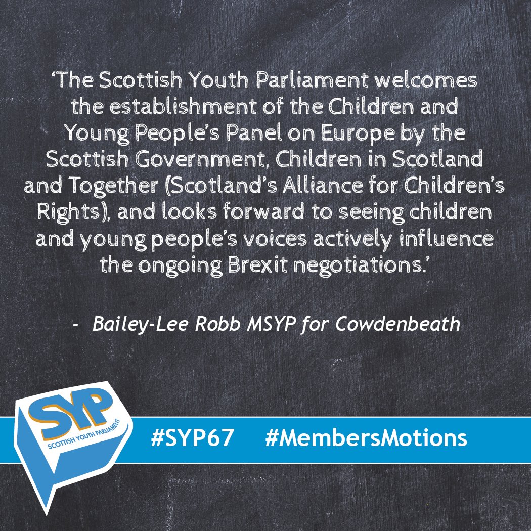 OfficialSYP's tweet photo. Next up it’s @BaileyLeeMSYP on the Children and Young People’s Panel on Europe. #MembersMotion #SYP67 https://t.co/j20jrtlcFp