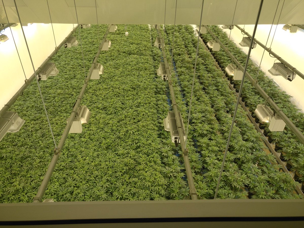 Ontario does brisk business with 100,000 pot orders in first 24 hours bit.ly/2J7rUGB https://t.co/TxJj4X7FWa