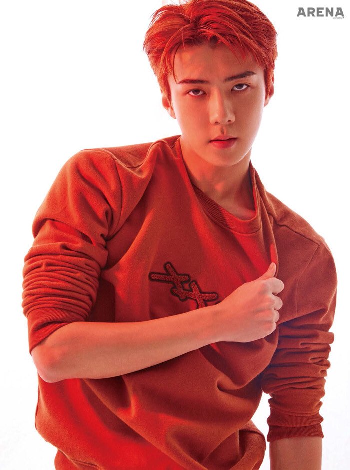 JustEXO18's tweet photo. When yeah everyone I AM A SEHUN STAN. SEHUN IS MY FAVORITE MEMBER. It is not obvious because I keep talking to other members lately but Sese is my life. Cant even know how to breathe w/o his existence. Love yah my boy https://t.co/ighFUWD59Q