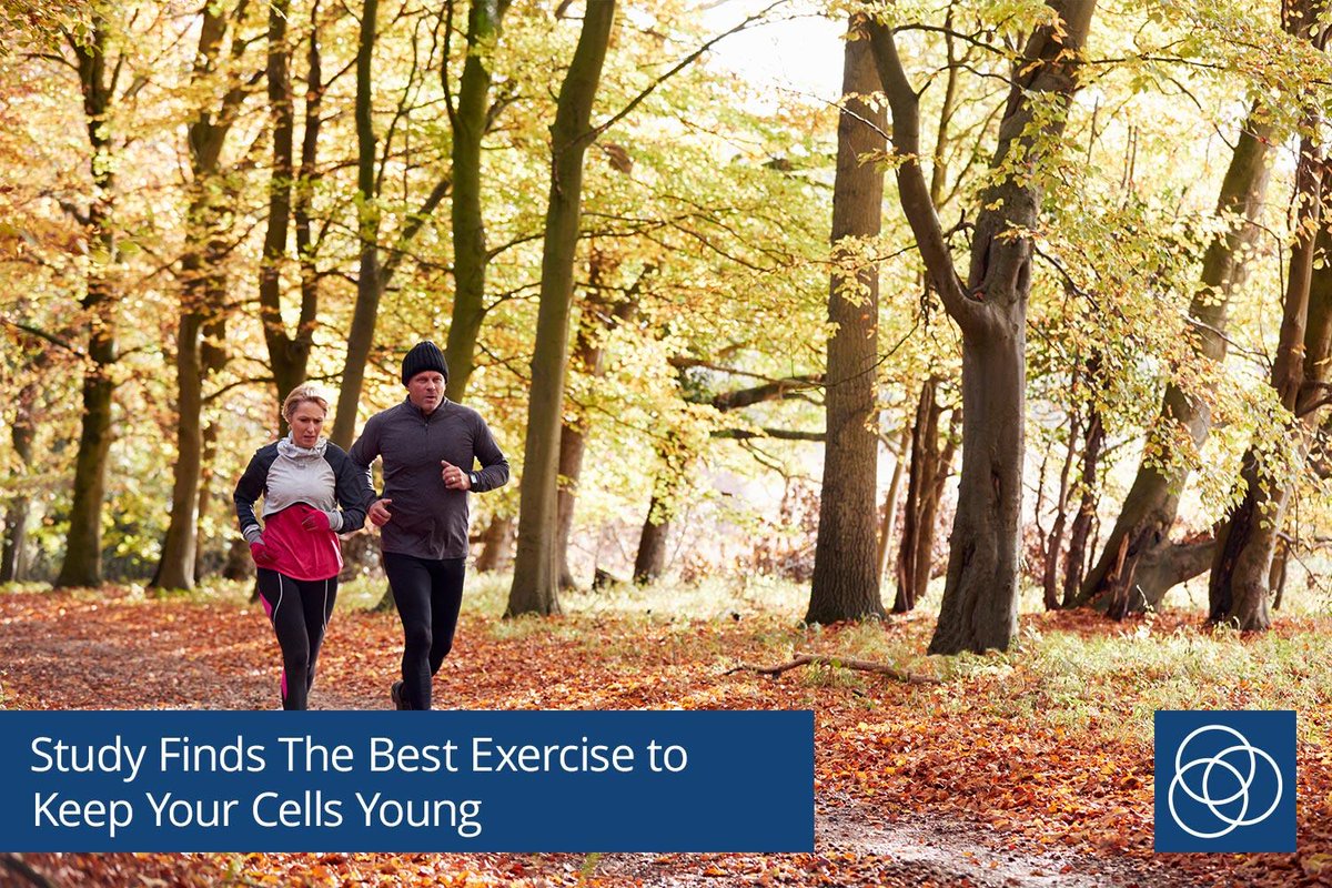 FunctionalRejuv's tweet image. #Exercise is often viewed as either a love-it or hate-it #activity, but could it be the key to turning back the hands of #time? fal.cn/SAwf