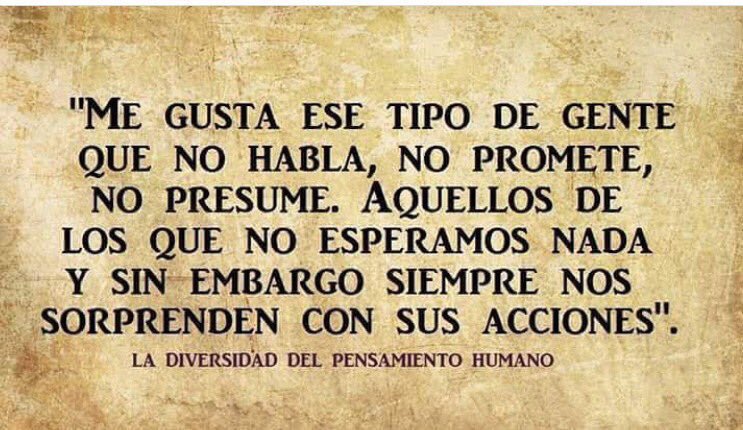 Elias Menacho tweet media