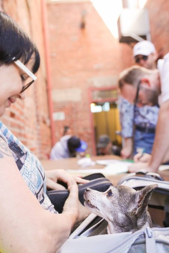 DtownDogRescue's tweet photo. We are grateful to be working w/ @LACityPets LA County Public Health Veterinarians @InnerCityLaw to bring a variety of services to ppl & pets each wk on #woofwed. Read more on our (FB)pg https://t.co/fmgHpQd401