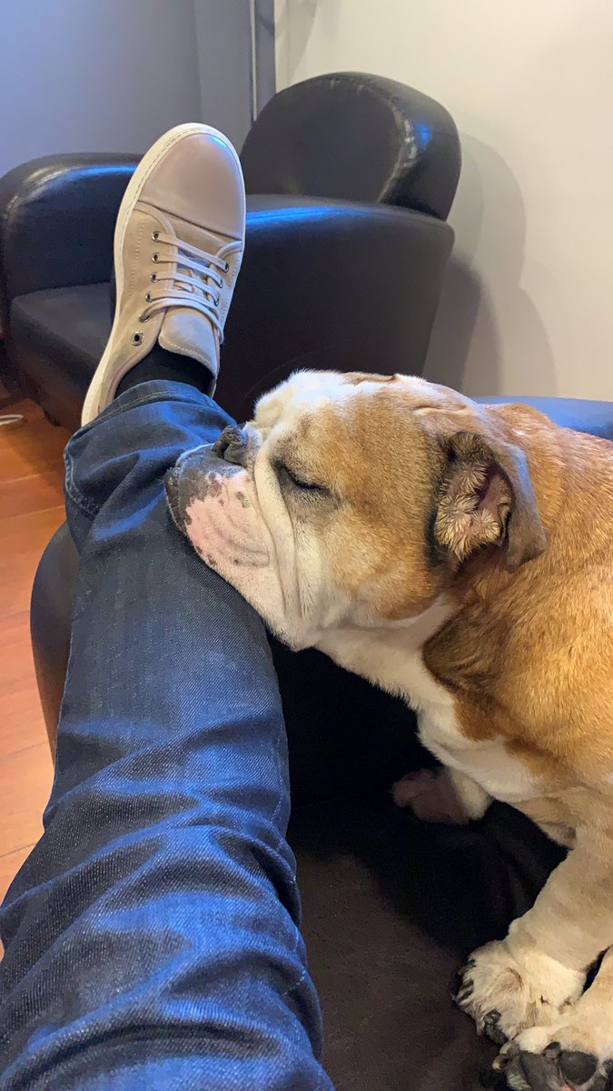 Camille Combal tweet media