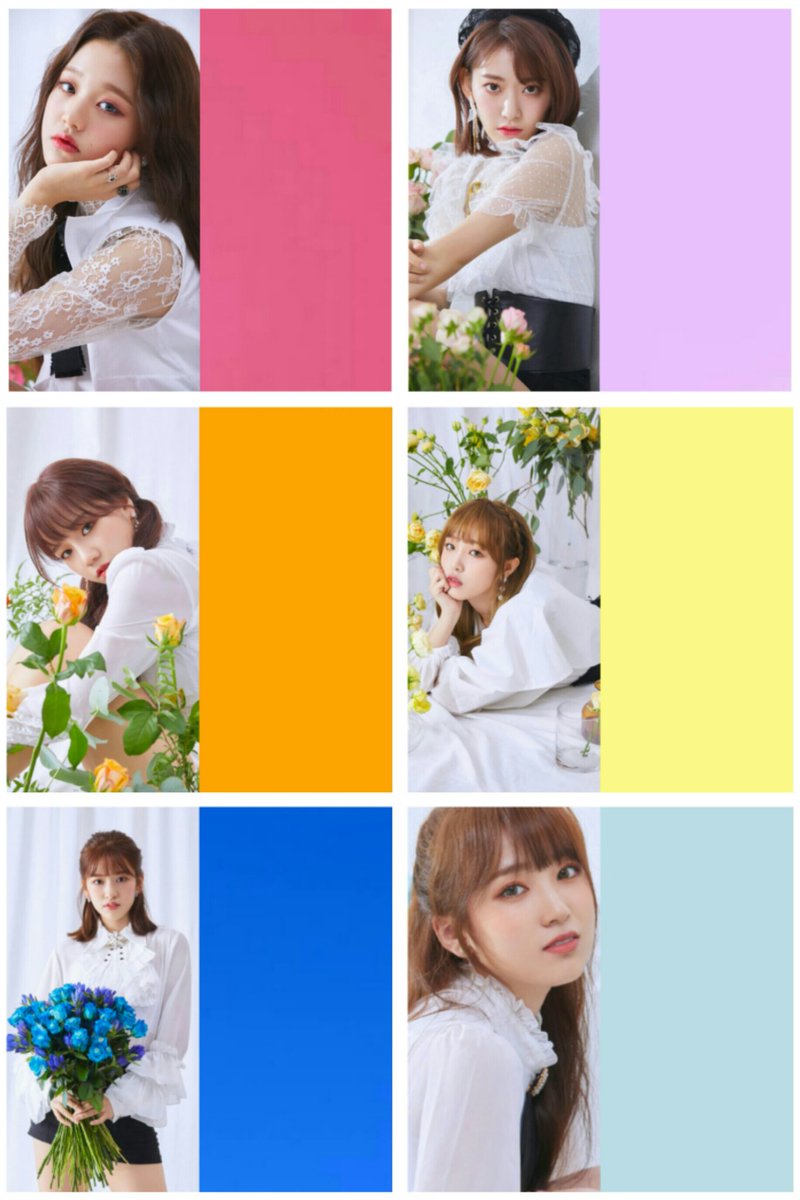 トップ 100 Flower メンバーカラー サンセゴメ