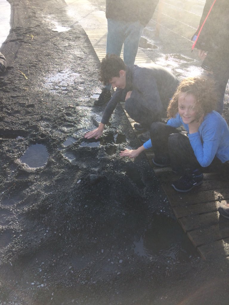 haecgeography's tweet photo. Cooking bread Icelandic style. Using the geothermal heat takes 24 hours for one loaf . https://t.co/LcTxW7DqWX