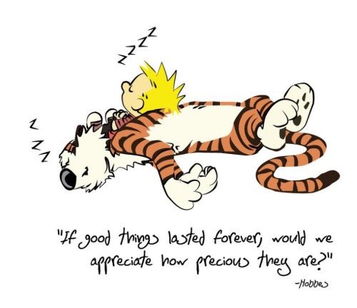Calvin and Hobbes on Twitter: Calvin and Hobbes on Twitter: