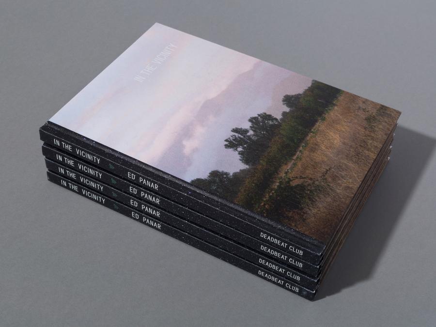 Silver Eye tweet media