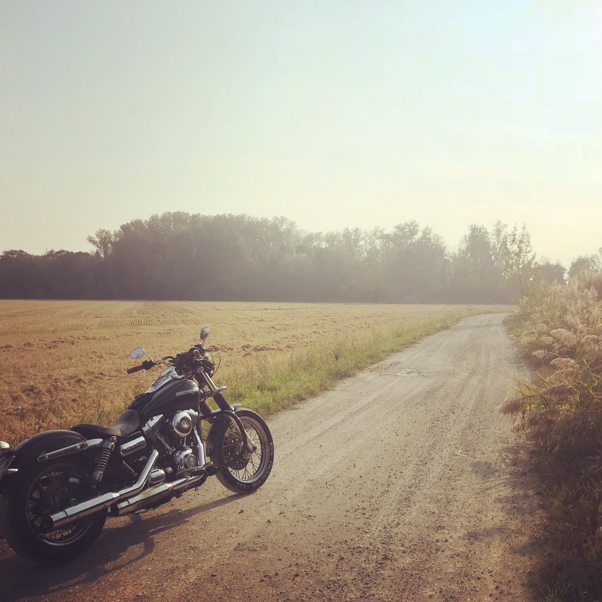 Jack_RPLF's tweet photo. Autumn around Milan

#harley #harleydavidson #dyna #fxdc #nature #countryside #milan #italy #mototravel https://t.co/opLCv6627v