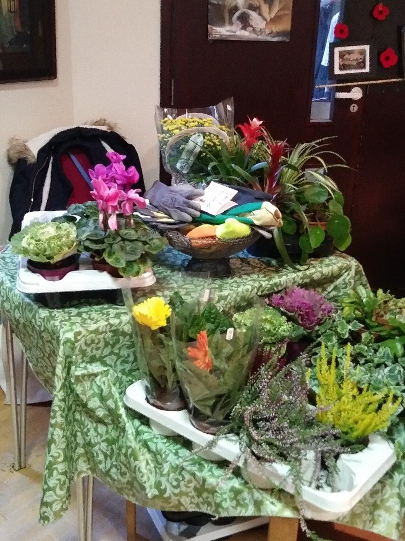 wi_gee's tweet photo. Our flower stall selling lots of beautiful flowers from Broomside Nursery! 
🌺🌻🌹🥀🌷🌼🌸💐 https://t.co/m0uL2OBXsx