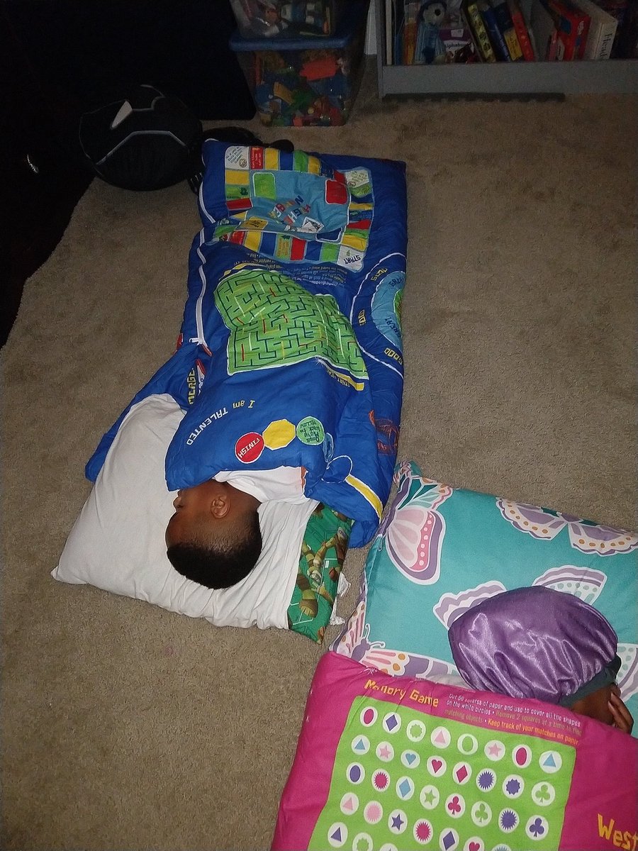 A customer just sent us this great photo of their kids enjoying their new Playtime Slumber Bags!