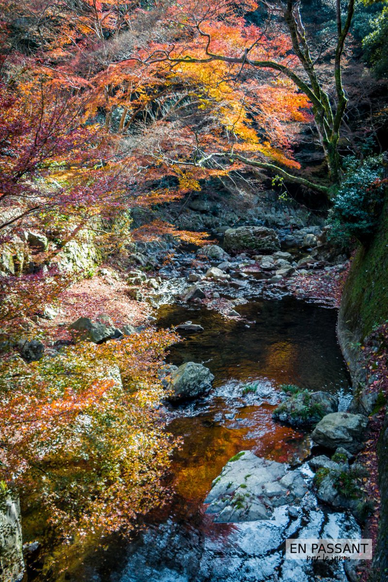 Une nouvelle vidéo sur la chaine, ça faisait hyper longtemps ! On vous emmène faire un saut au Parc de Minoh, à quelques minutes d'#osaka pour une petite promenade automnale.

youtube.com/watch?v=NNAI3F…
