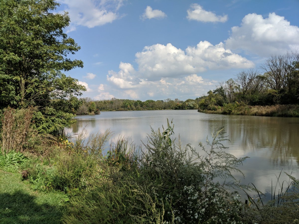 AkriasGaming's tweet photo. @ScholarlyGamer The Place I was telling you about for fishing https://t.co/mB5sCM6XIf