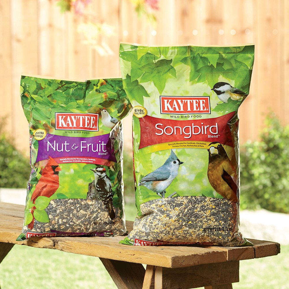 Park Falls True Value On Twitter Don T Let Your Backyard Birds