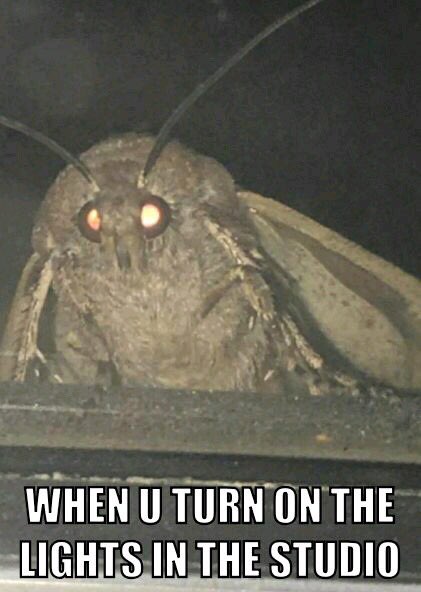 HawkTV12's tweet image. We’ll be turning on those studio lights again tonight for The Extra Point! Come out at 7:30 and talk about sports!