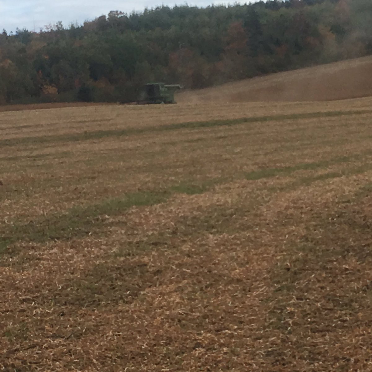 The sun would not shine🙁but we got some combining done. #Harvest18