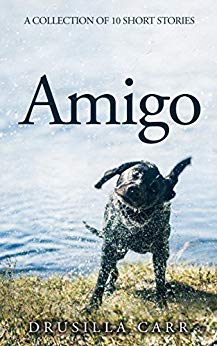 A #dog in need of an old lady and a #policeman. "Amigo"  #short #stories
#MI5 Kate in need of nothing until she met James. "Ring of Secrecy"
Two books by Drusilla Carr. 
Kindle £1.99/ Free Kindle Unlimited

hyperurl.co/Amigo

#KindleUnlimited #shortstories #BTIWOB