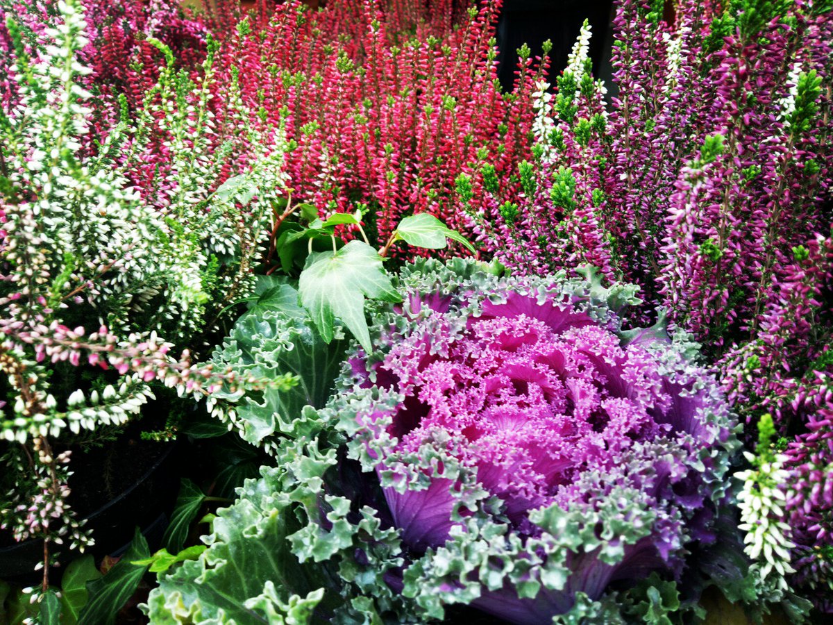 SilvijaTravel's tweet image. Enjoying nice day at Airfield Estate @AirfieldEstate #Dundrum #Dublin14 #SilvijaTravelTips #JerseyCow #AirfieldEstate @Dundrum_info @VisitDublin @LoveSouthDublin @LovinDublin
@SilvijaTravel