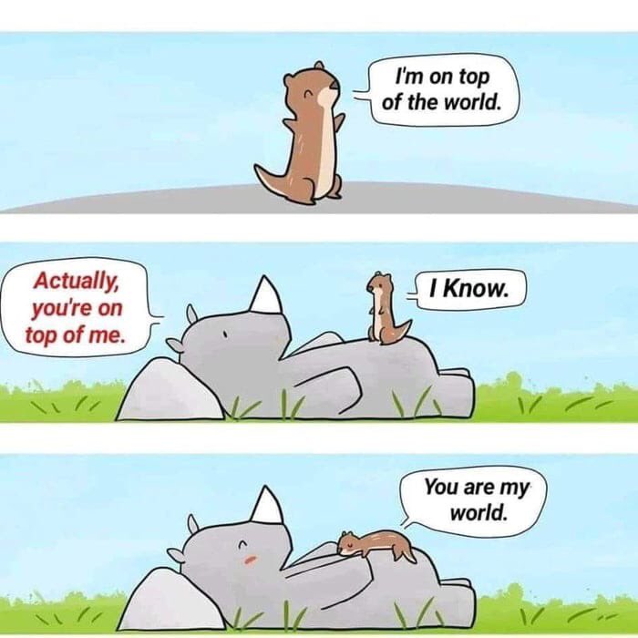 #Animal #rhino #rhinoconservation #summer #world #africa #southafrica #happy #MondayMotivation #summer #mustloverhinos