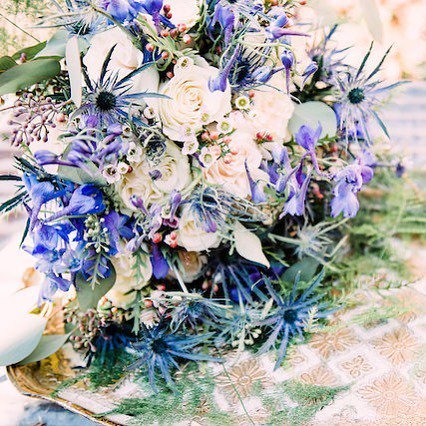 Burnett's Boards tweet media