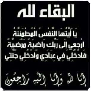 hamdy tweet media