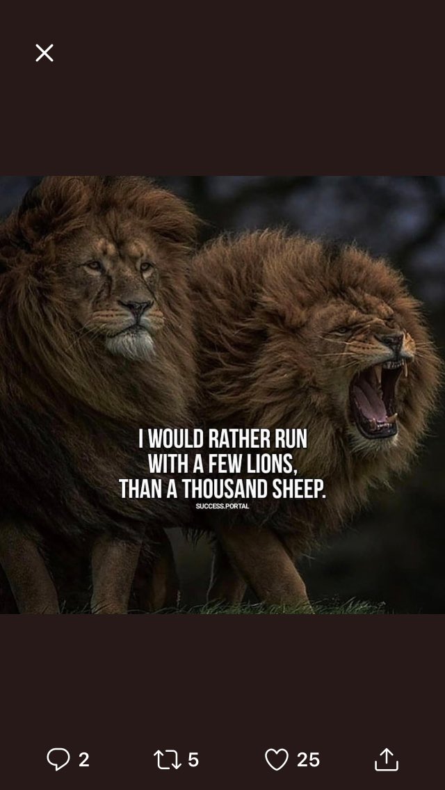CoachJusJones's tweet photo. You don’t tell a lion to warm-up, all he needs to be is hungry to be full speed!! #stayhungry https://t.co/qXoTl62NX1