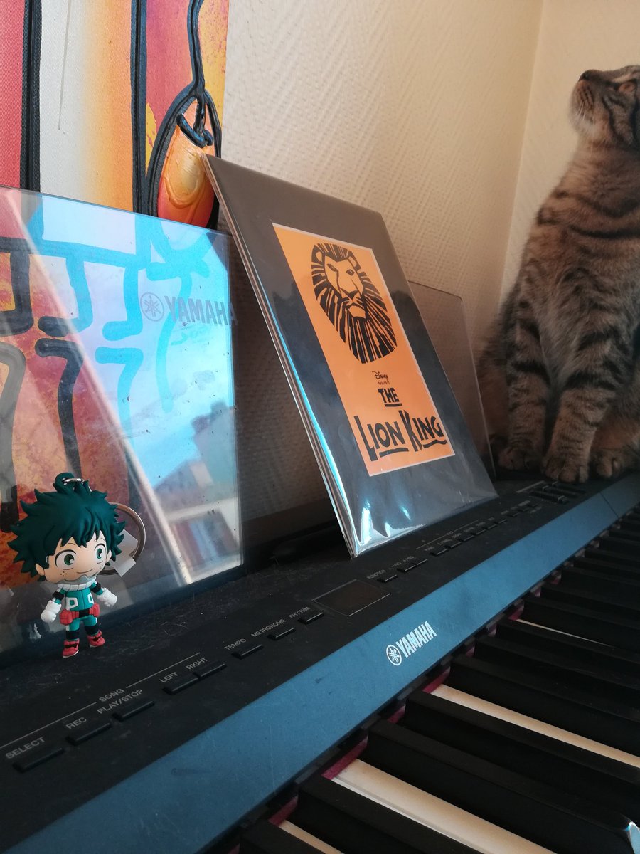 LaylionessAMB's tweet photo. J'ai eu Deku ! #Inthepockets '^' https://t.co/Z8FcFuEHj4