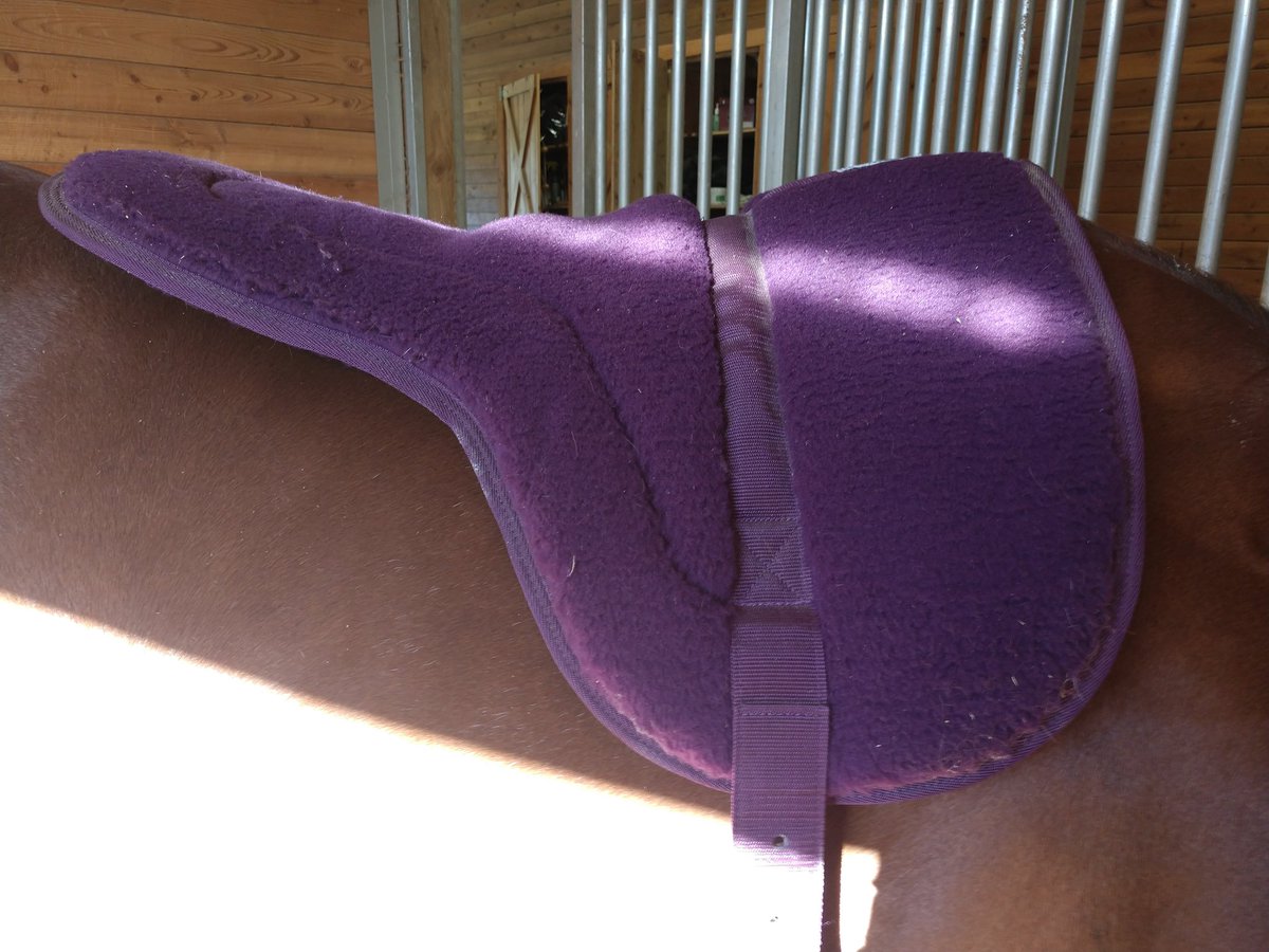 TackTalk's tweet photo. The results are in! Last week we asked about your favorite bareback pads, and the survey results have all been tallied. Sadly Amazon didn't have most of your picks, so there aren't many links, but the results can still be seen here: https://t.co/cvRleVuehK.     

#horses https://t.co/cqnDKD1V7B