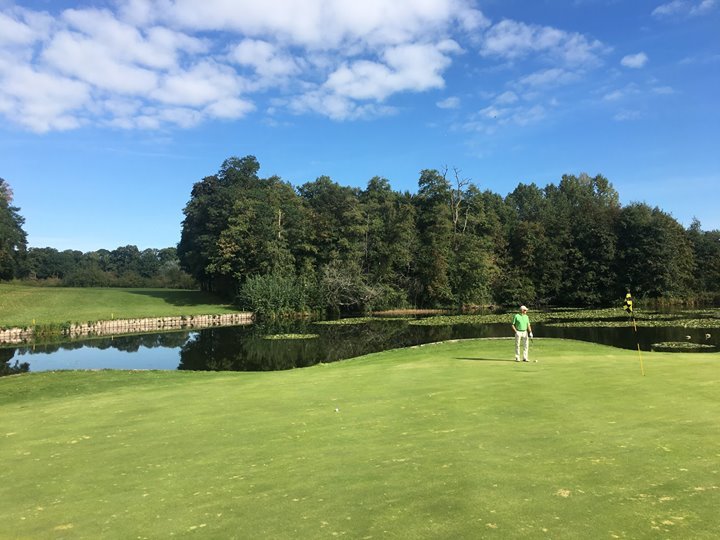 GolfinFlanders tweet media