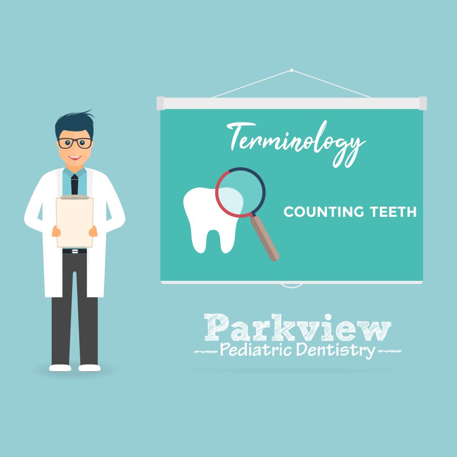 Using positive, kid-friendly terminology instead of negative words that are often used in dental care makes it easier for your child to understand! When we use the term "Counting Teeth" we are referring to a routine dental exam. 
parkviewkidsdentistry.com/patient-inform…
