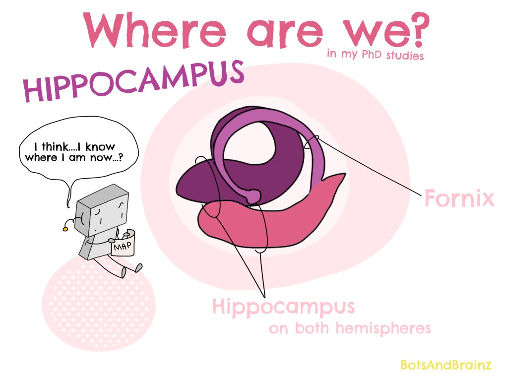 BotsAndBrainz's tweet photo. Welcome back to Zoom 4 - we're now going to single out the hippocampus, which also goes by another name... But who was this Ammon, and why's he got horns? Read on to find out! https://t.co/FlB8VY6X6Q https://t.co/L0LFiW7OOi