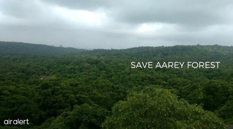 jyotirajesh20's tweet photo. #DAY478
@Dev_Fadnavis 
Mumbai sizzles at 38° in October ,5.8 °above normal ..
Do these reports make a dent on your obsession for destroying forests or no ?
Take a trip2 #AareyForest while Mumbai is sizzling..&amp; feel d temperature difference for urself.
#SaveAarey 2 #SaveMumbai https://t.co/KN79Xu8gla