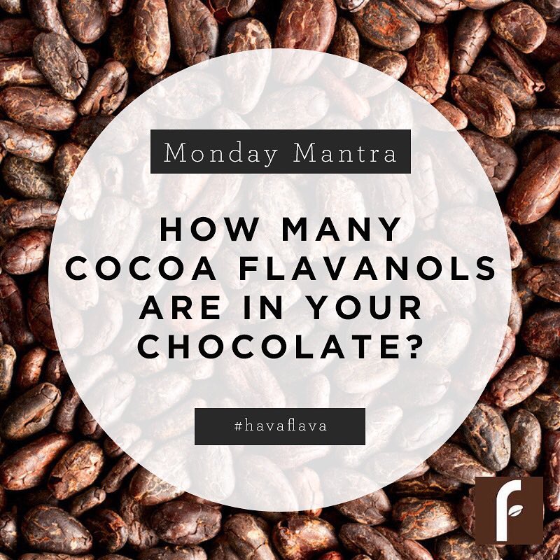 How many cocoa #flavanols are in your chocolate? Chances are, not many. #FlavaNaturals products contain 5-9x the cocoa flavanol #antioxidants of a typical dark #chocolate! Read more here: flavanaturals.com/flavanol-benef… #cocoaflavanols #darkchocolate #healthychocolate #MondayMotivation