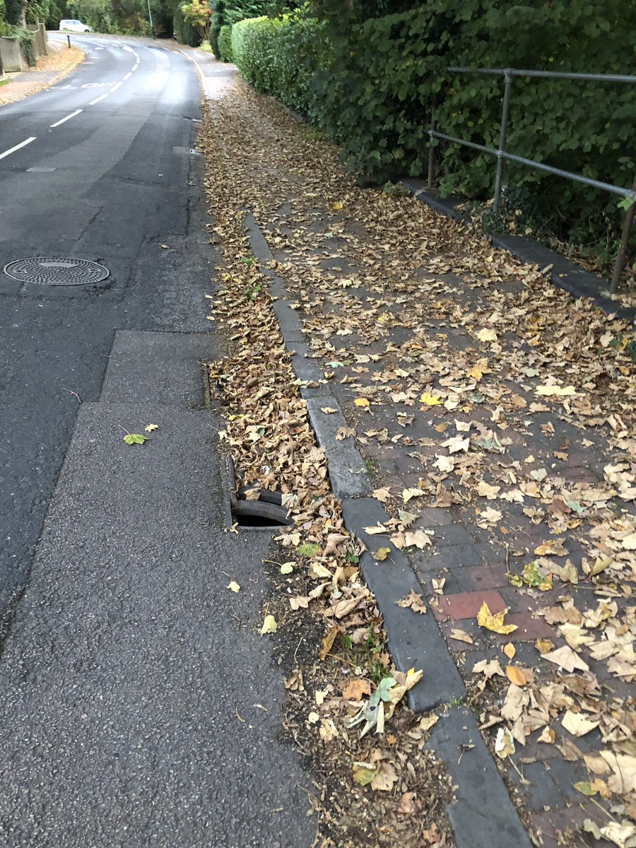 Health and safety moment :-0 just seen an old lady fall over as leaves cover the path safer walking on the road!
