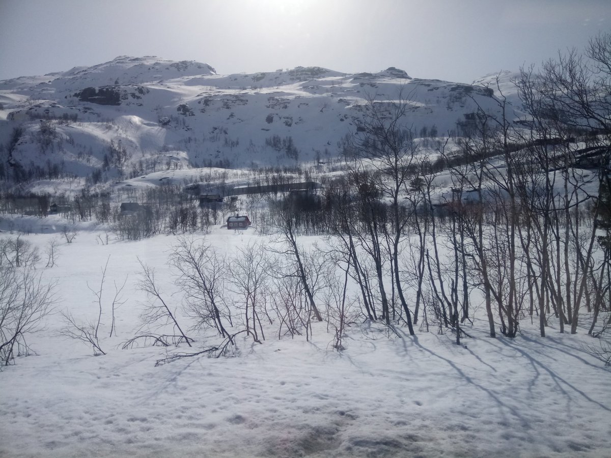 FamilySkiNews's tweet photo. Looking for a different kind of #ski #holiday this winter season? Consider #SkiTheFjords in #Norway >> https://t.co/D9MCz7ccD6 @SkiSafari @skisolutions @BrionyKey @Myrkdalen #FlåmRailway #Nærøyfjord #Vatnahalsen #Norway @homeofskiing #winteriscoming https://t.co/zjQOIRda8p
