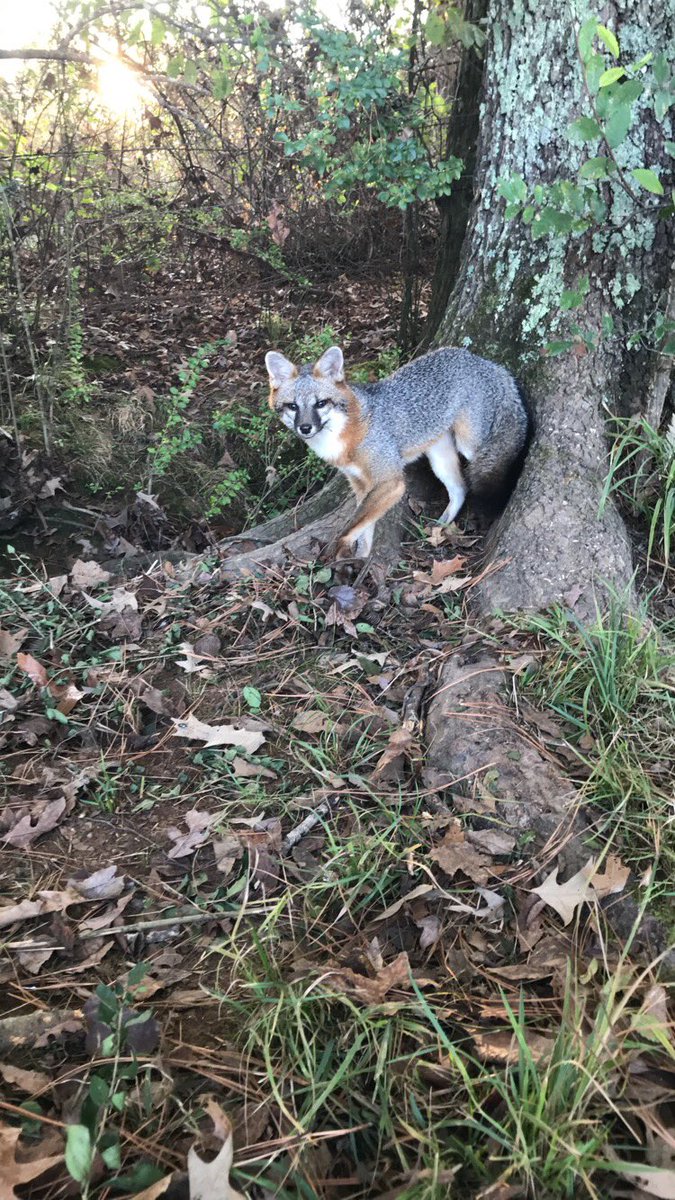 Pretty little fella got a pass today.