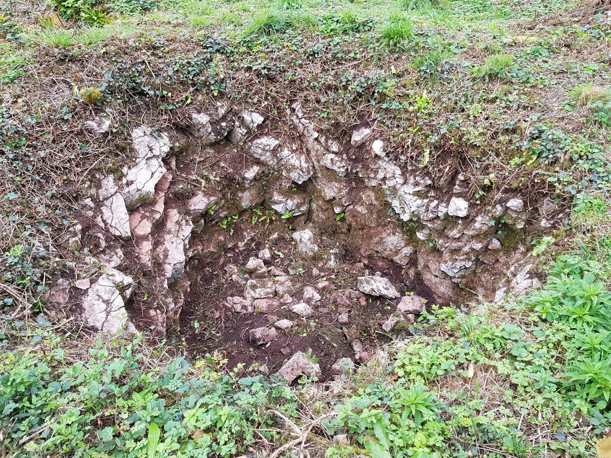 Cat Lodge (@catlodge1) on Twitter photo Visited Worlebury hillfort today with Historic England's Heritage at Risk Project Officer to discuss further clearance of vegetation. Just look at the progress made by volunteers in 2 years! #saveworleburycamp <a href="/HE_SouthWest/">HE South West</a> <a href="/NorthSomersetC/">North Somerset Council</a>
<a href="/WSMERCURY/">Weston, Worle & Somerset Mercury</a> @westonmuseum Visited Worlebury hillfort today with Historic England's Heritage at Risk Project Officer to discuss further clearance of vegetation. Just look at the progress made by volunteers in 2 years! #saveworleburycamp <a href="/HE_SouthWest/">HE South West</a> <a href="/NorthSomersetC/">North Somerset Council</a>
<a href="/WSMERCURY/">Weston, Worle & Somerset Mercury</a> @westonmuseum