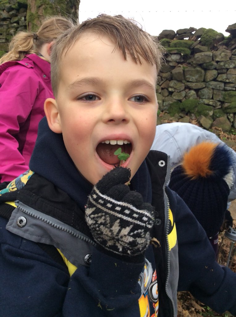 staynorHprimary's tweet photo. Day 1 at Low Mill. 6km walk to kick the fun and games off @eboractrust #lowmill https://t.co/yzSrxmQ4L3