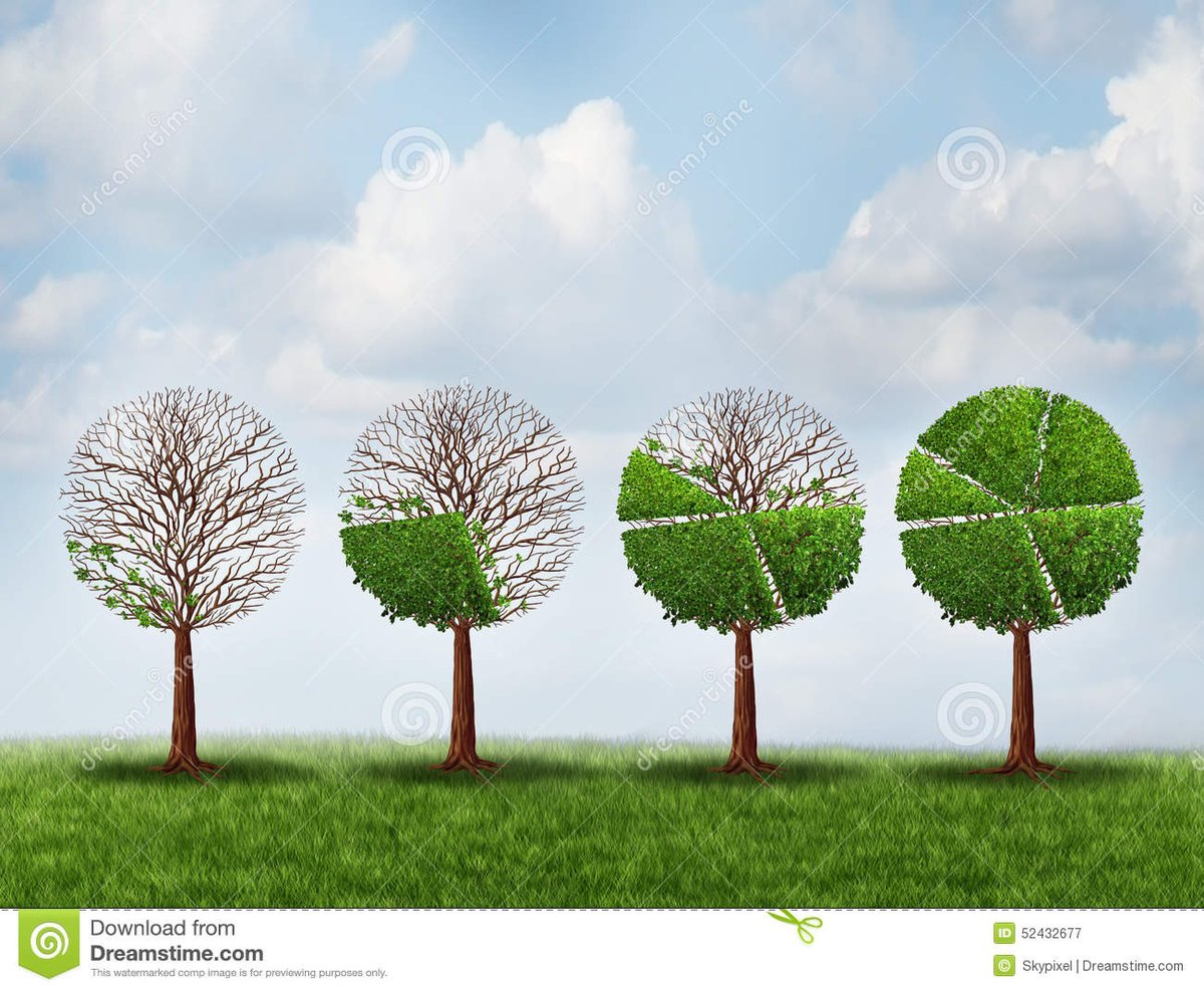 Conceptualization to Financial Close     

IS OUR FORTE!!