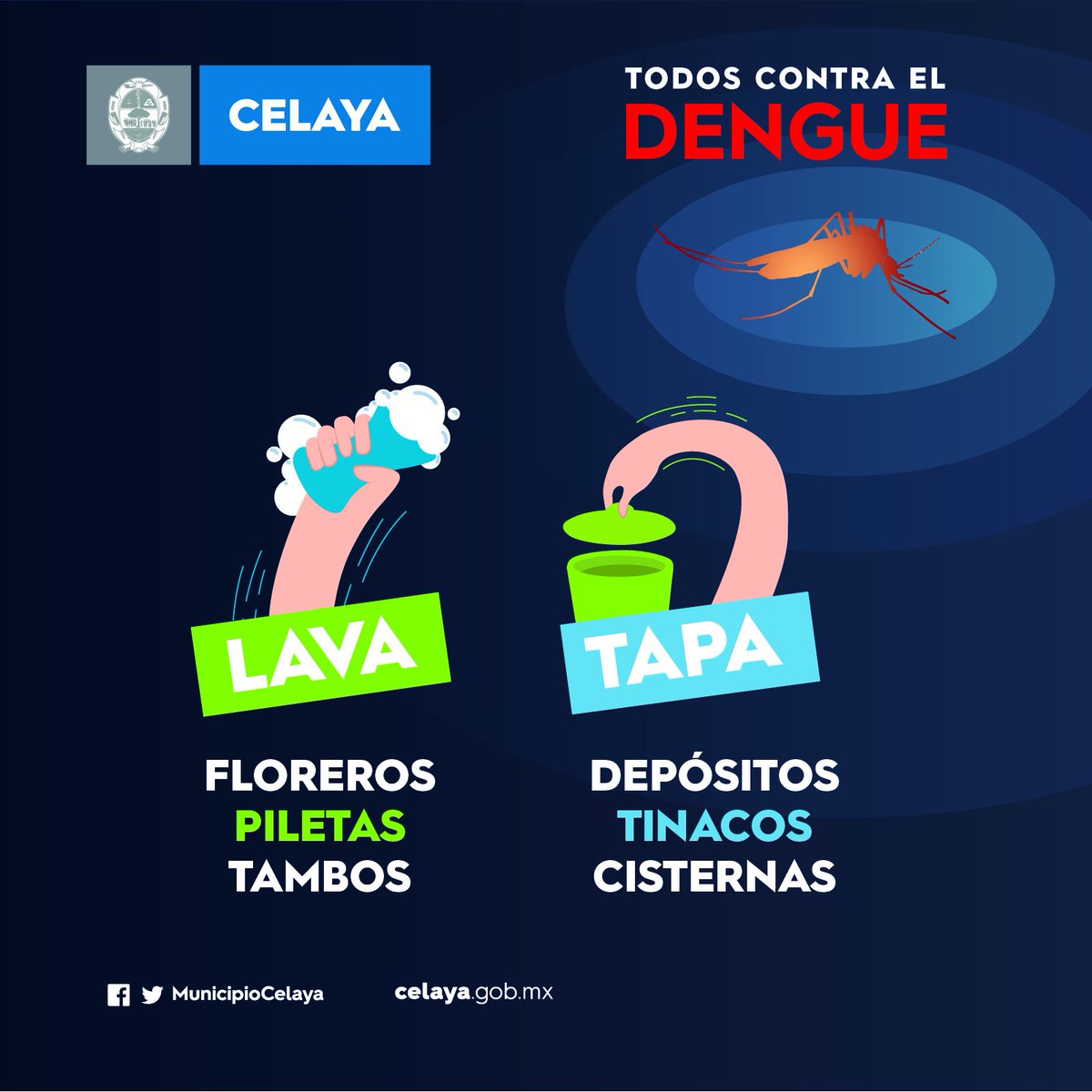 municipiocelaya's tweet photo. Evitemos la aparición del mosquito del dengue siguiendo las indicaciones emitidas por las autoridades.
Y si presentas los síntomas acude a tu centro de salud más cercano #Celaya https://t.co/hXDKSaPCb4